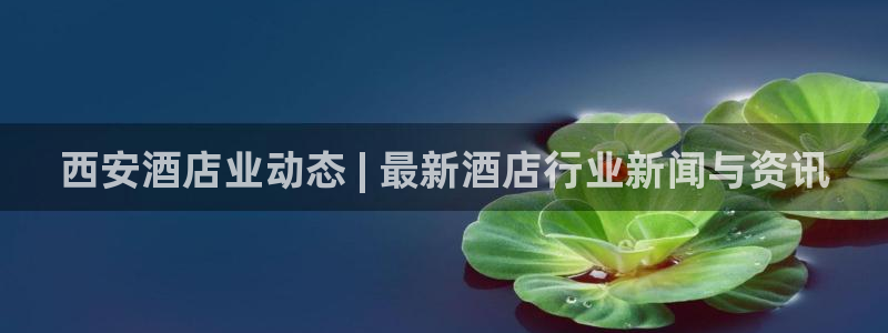 威廉希尔入口